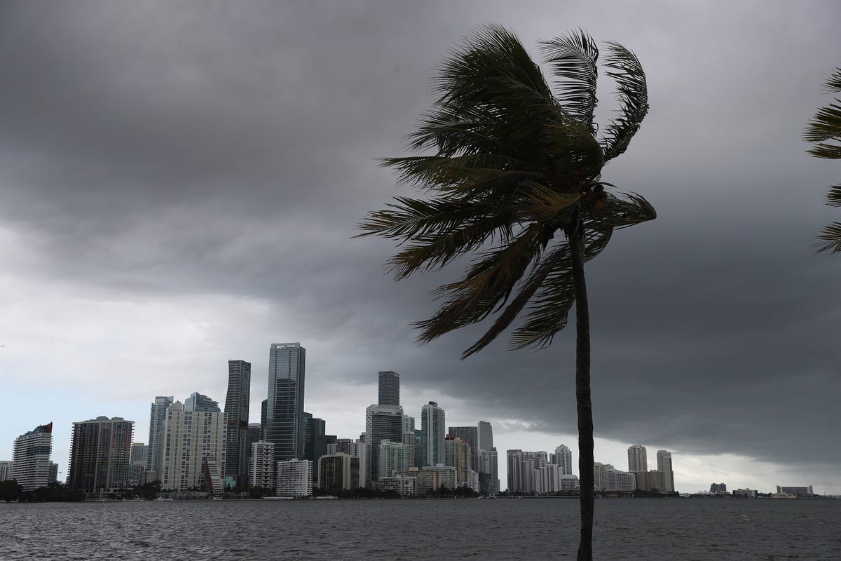 Hurricane Isaias: What you need when disaster strikes thumbnail