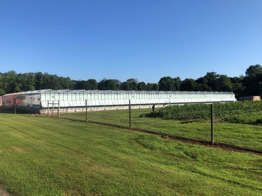 The indoor growing facility at TerrAscend in Boonton Township, where the company says it will harvest its first crop of legal marijuana in the fall. In the foreground of the indoor growing facility is an acre of vegetables being grown on the property to donate to a local food bank. August 4, 2020.