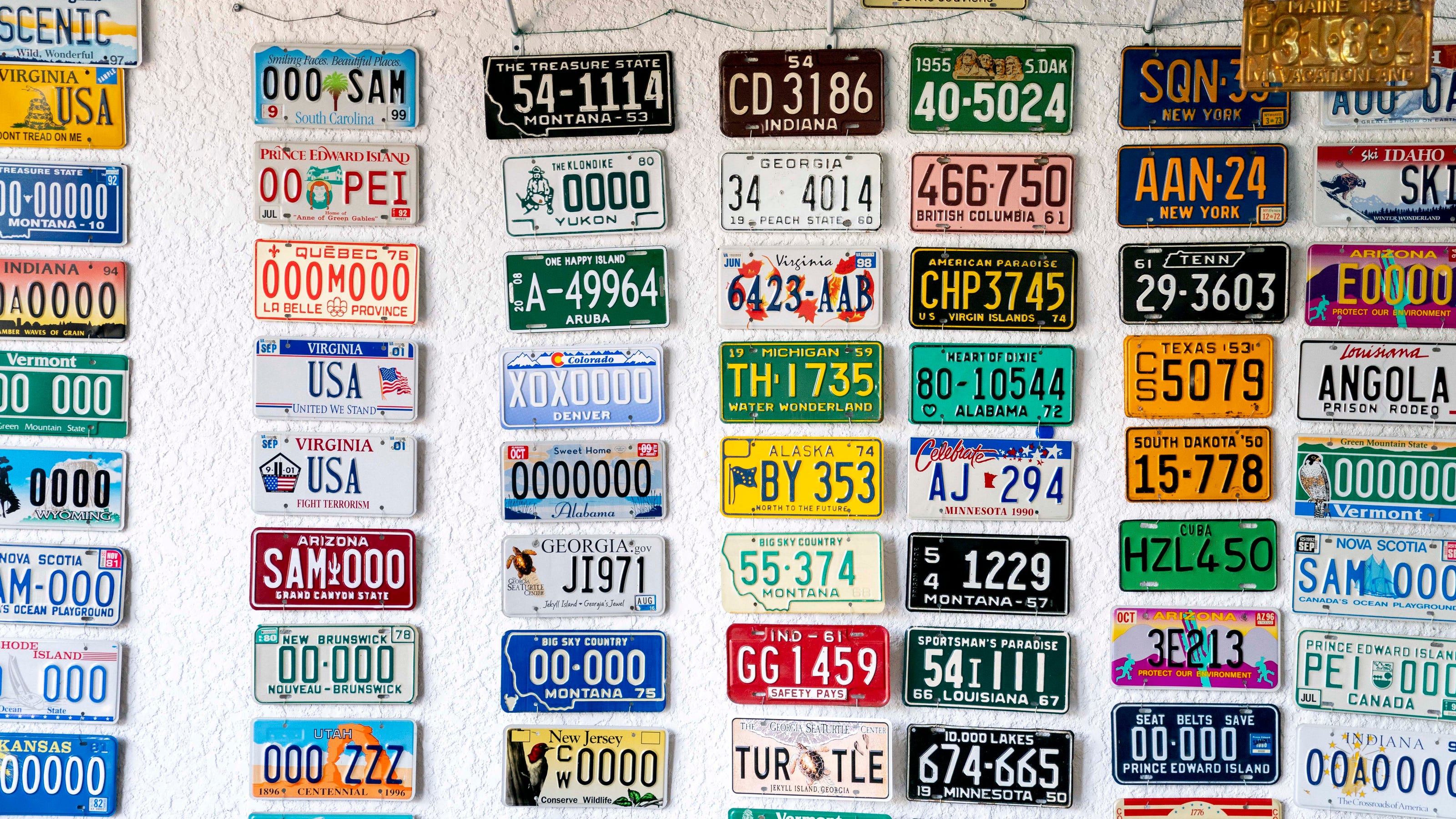 Florida specialty license plates Which are the most popular designs?