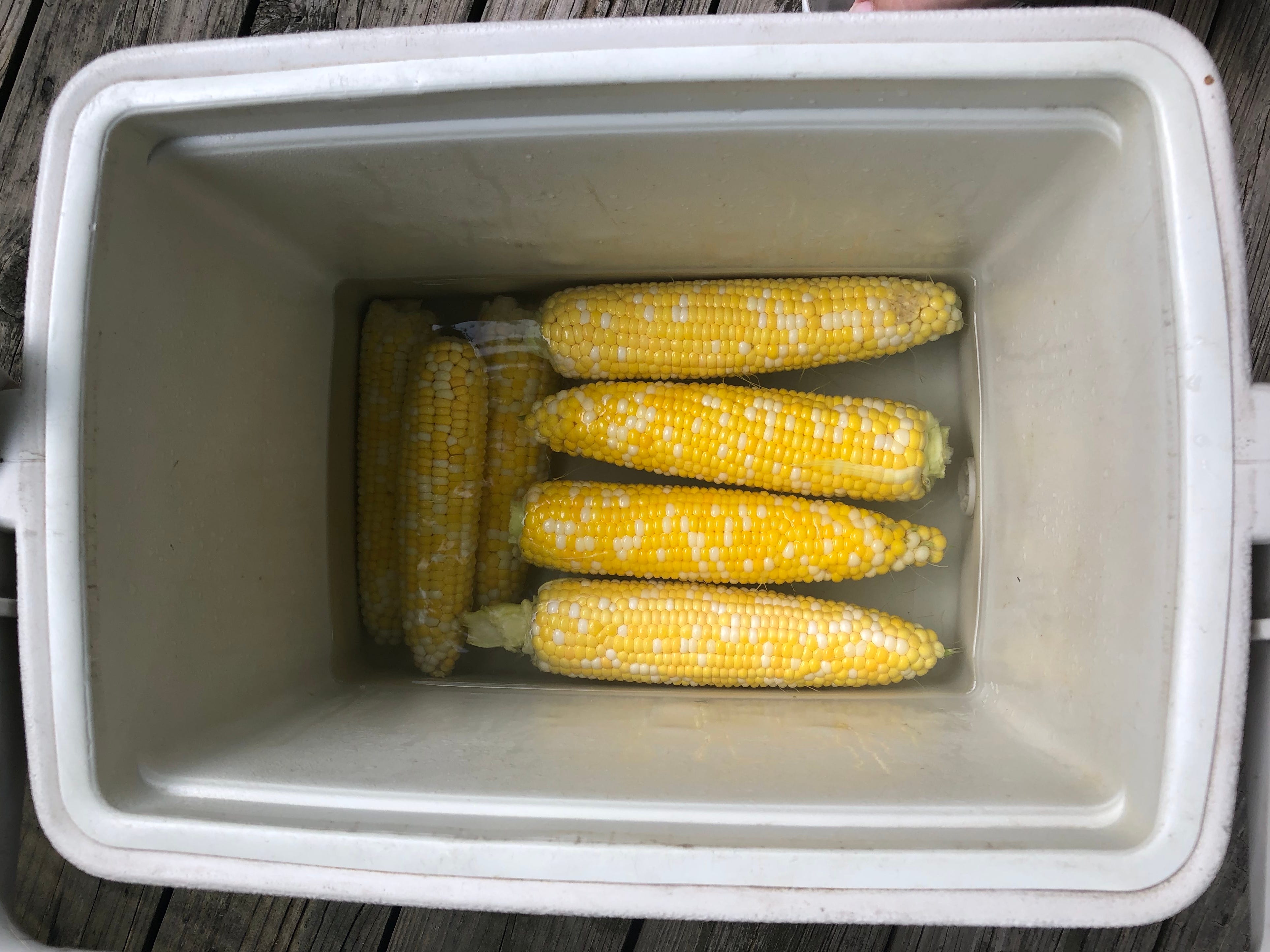 How to cook corn on the cob in a cooler Recipe works for many ears