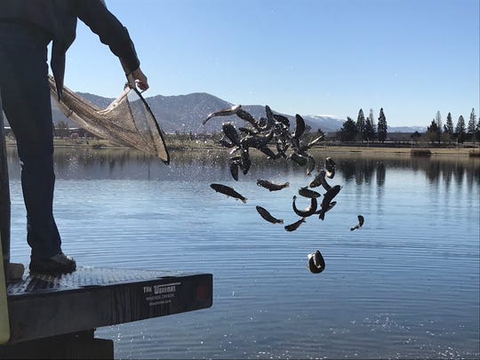 The Sparks Marina will be stocked regularly this spring and summer.