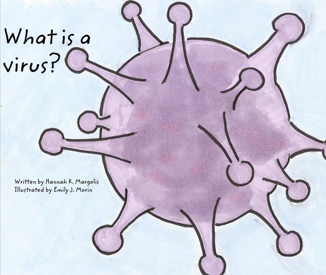 "What is a Virus?" is an online children's book written by Nevada native Hannah Margolis.