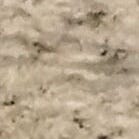 Ostras y caballos salvajes en la isla de Chincoteague en Virginia