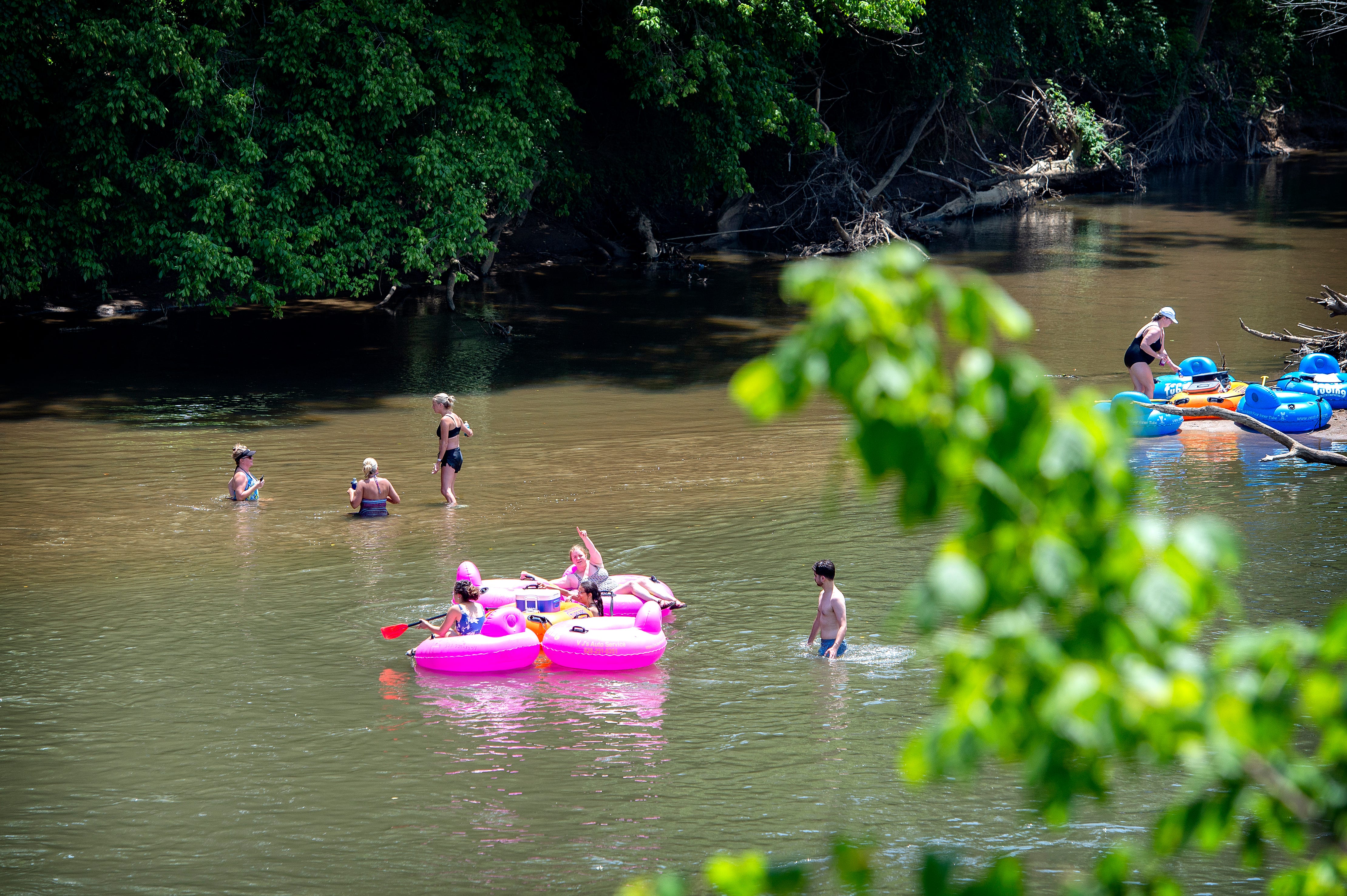 French Broad River in Asheville shows overall uptick in E. coli pollution
