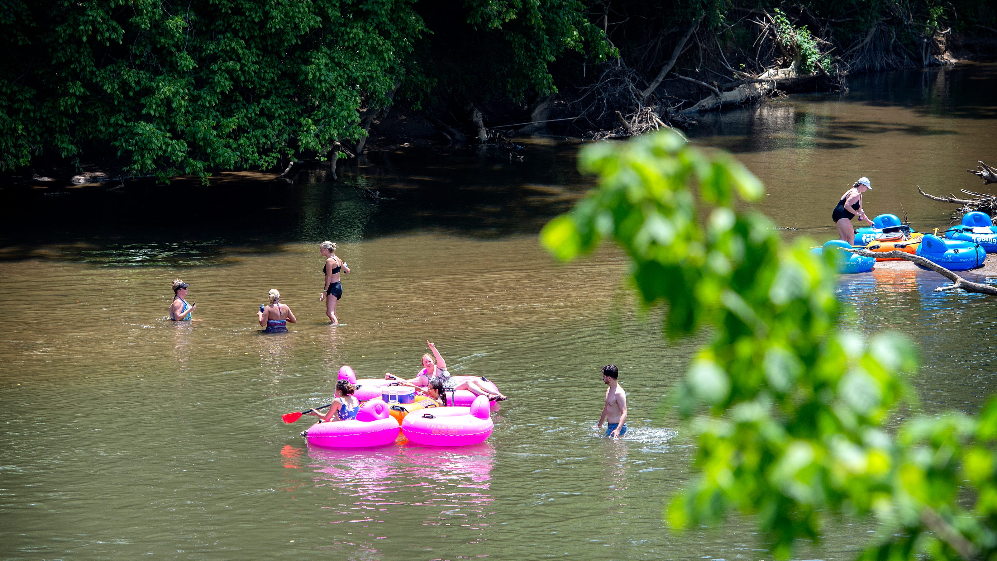 French Broad River in Asheville showing higher levels of E. coli bacteria this summer - Citizen Times