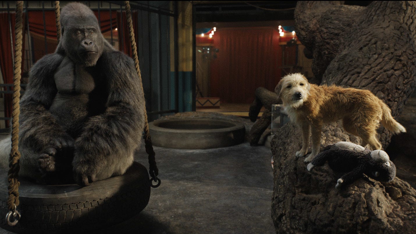 Bible stories for eyfs and ks1 children 'One and Only Ivan' based on Applegate novel.