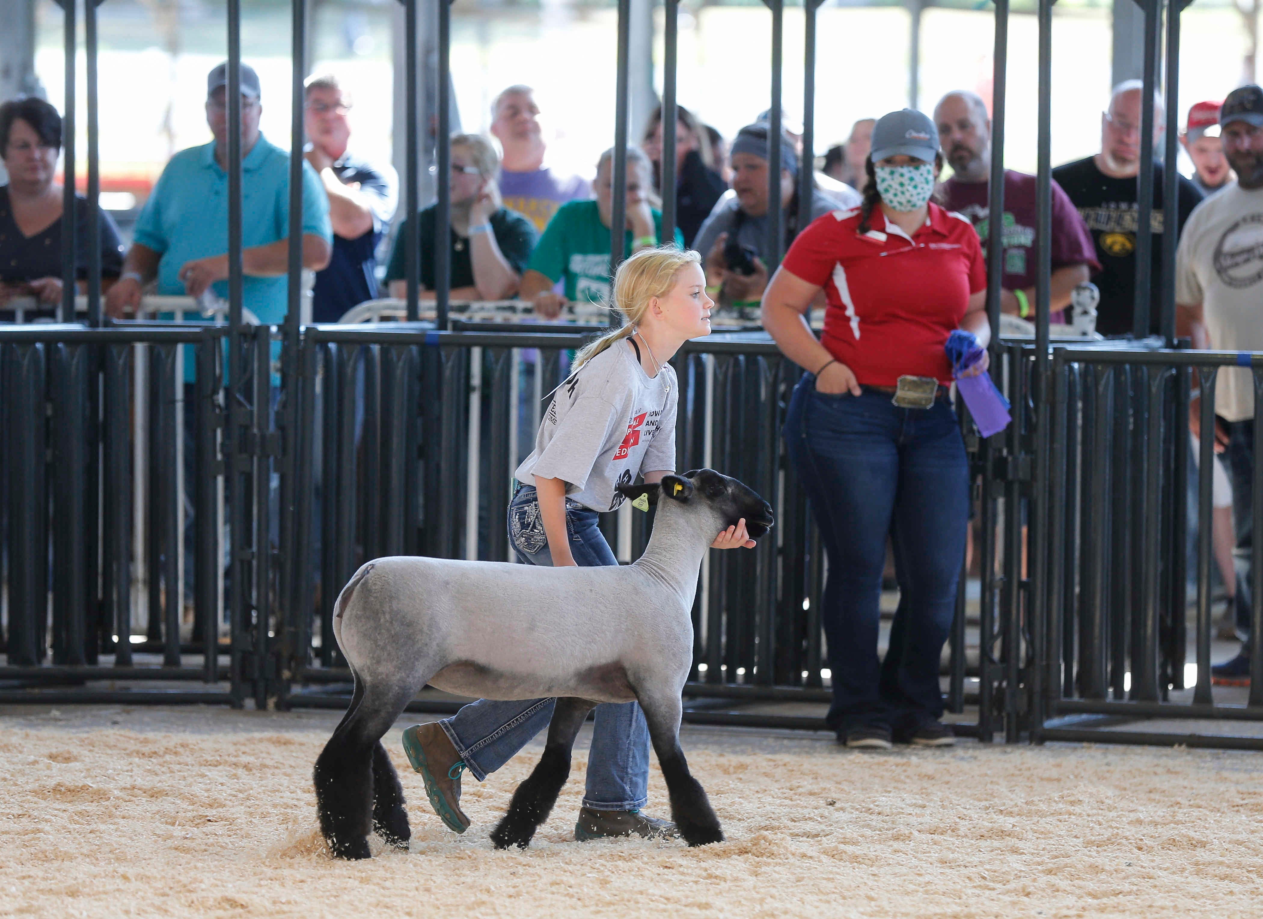 Iowa State Fair 2025 Livestock Show Schedule Delora Kendre