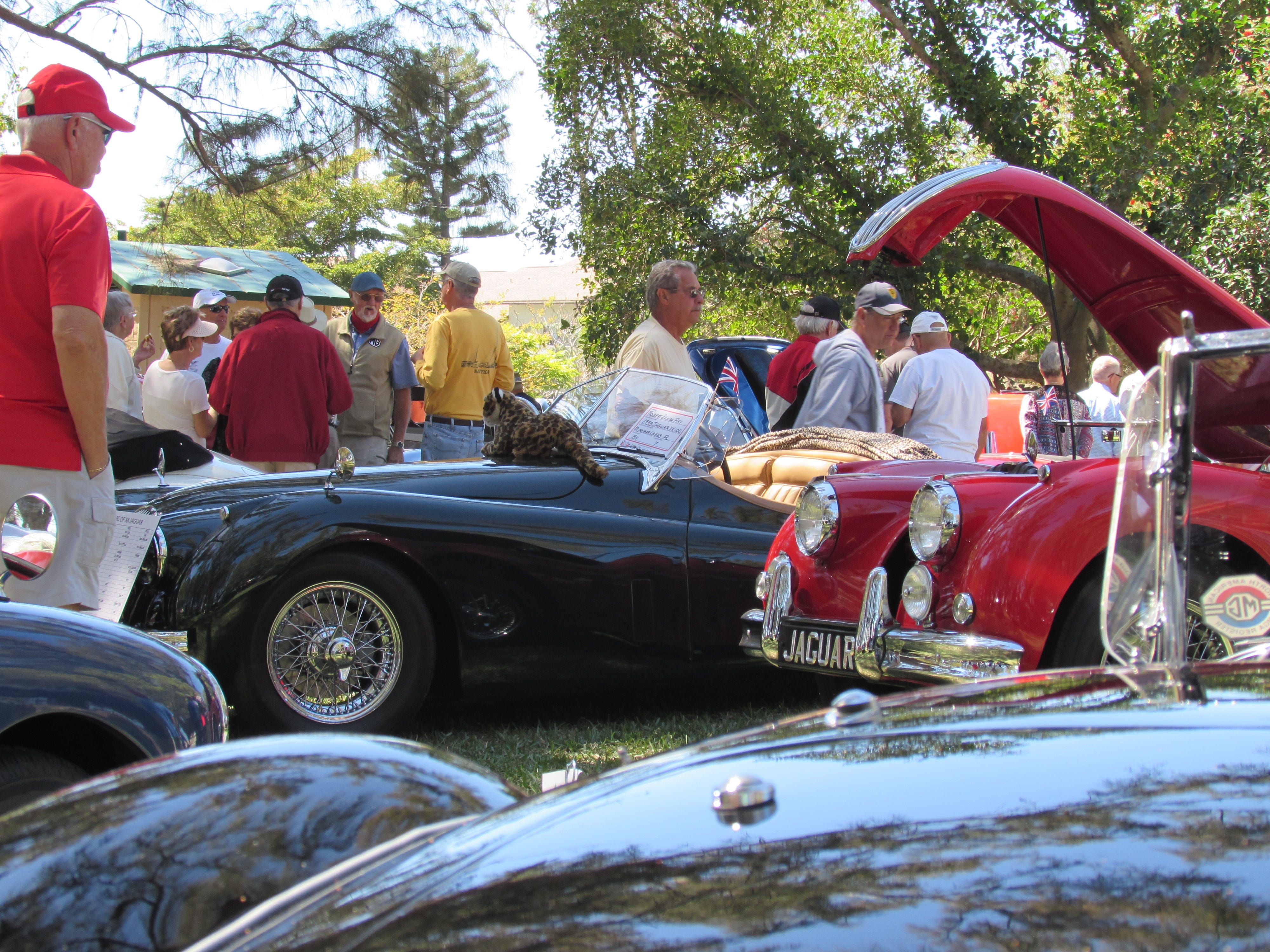 Free Lakewood ranch antique car show with Best Inspiration