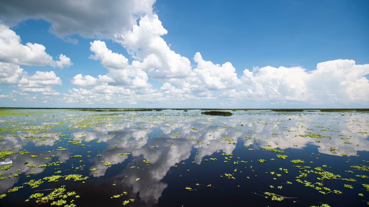 Lake Okeechobee, Florida's largest freshwater lake, sits at 13.5 feet