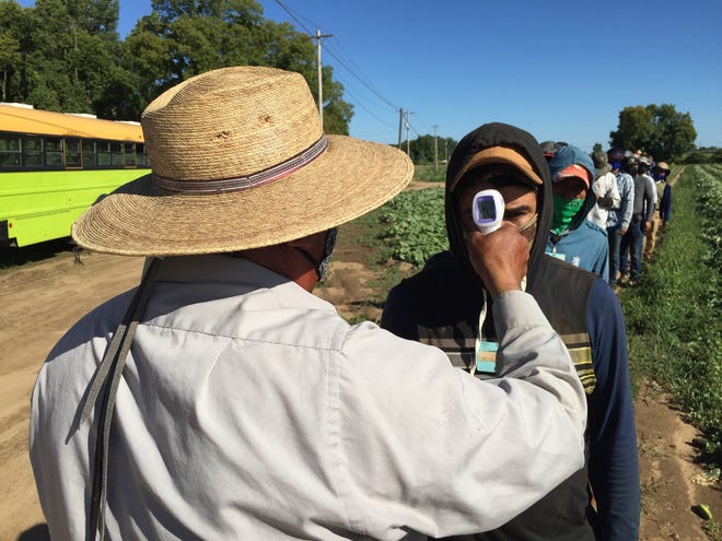 Migrant workers stand in line to have their temperature taken before going into work on a Michigan farm.