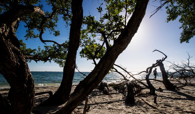 A beach goer strolls the beach at Lighthouse Point Beach on Sanibel Island on Friday, August 14, 2020.
