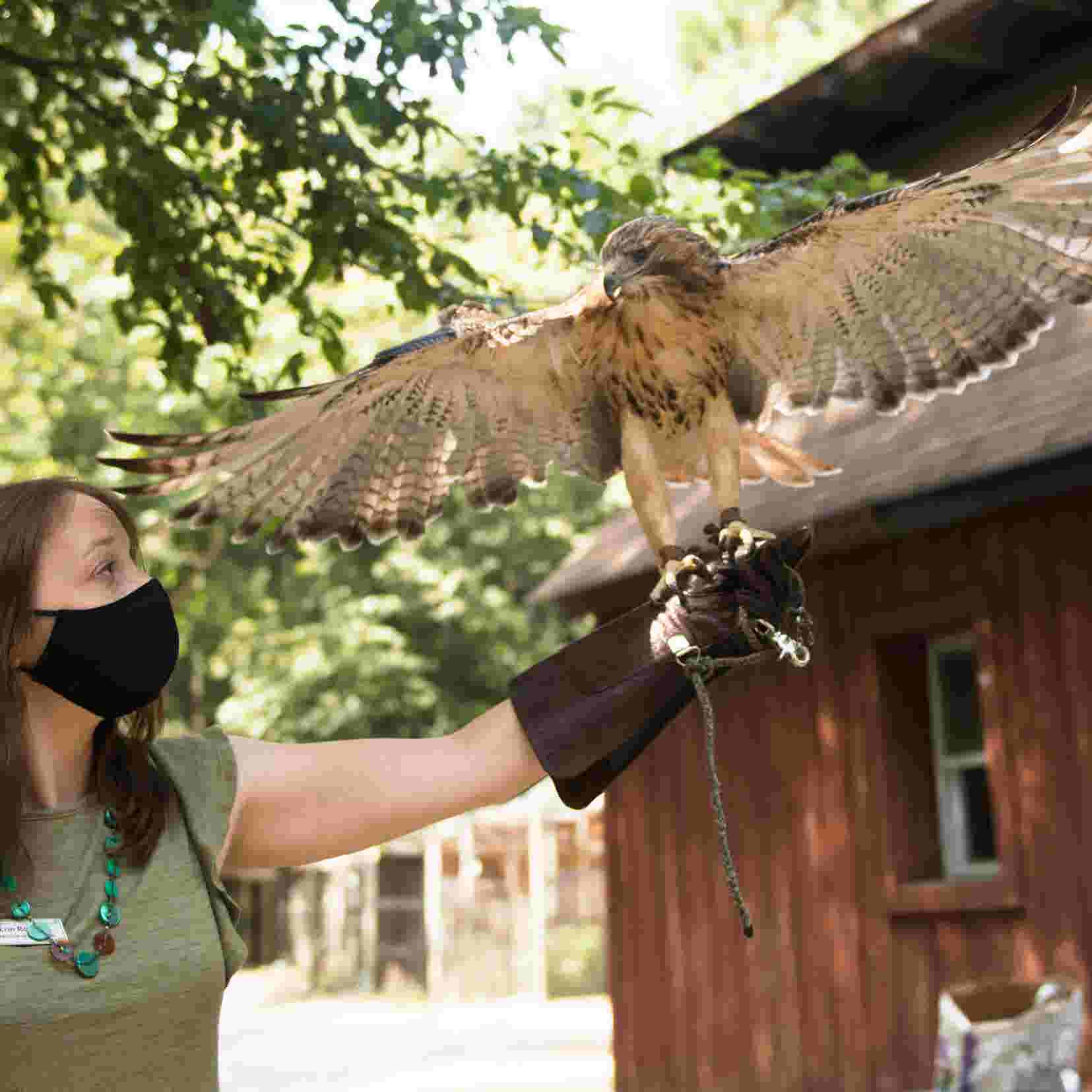 Public Donations Save Woodford Wildlife Refuge In Medford Public Donations Save Woodford Wildlife Refuge In Medford