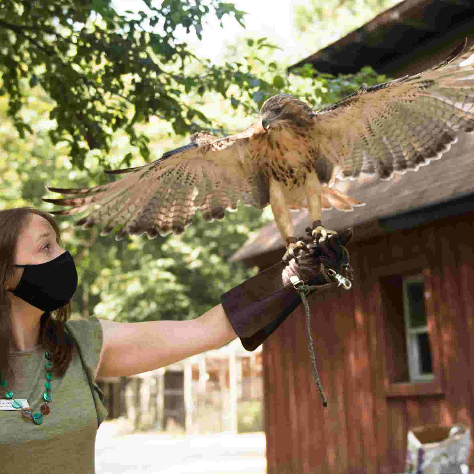 Public Donations Save Woodford Wildlife Refuge In Medford