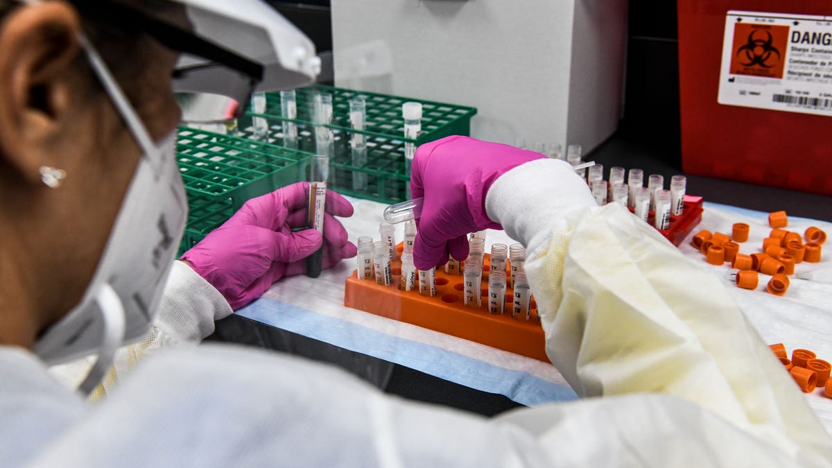 Inside a lab for COVID-19 vaccine study on Aug. 13, 2020, in Hollywood, Florida.