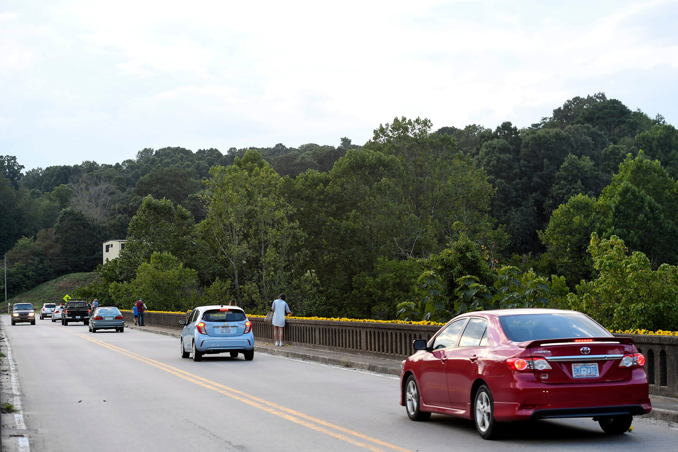Residents of the Olivette community picked sunflowers to spread cheer across the Craggy Bridge in Woodfin August 19, 2020.