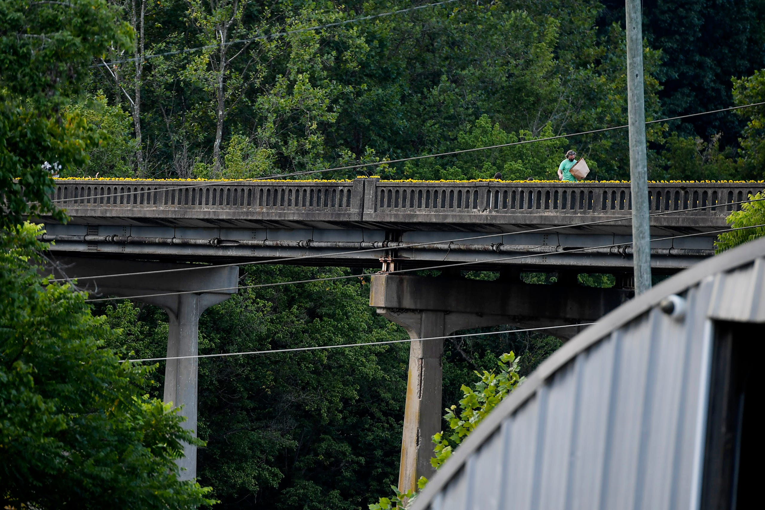 Residents of the Olivette community picked sunflowers to spread cheer across the Craggy Bridge in Woodfin August 19, 2020.