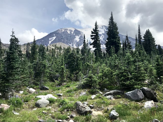 Mount Adams as seen from the junction where the Divide Camp Trail meets the Pacific Crest Trail.