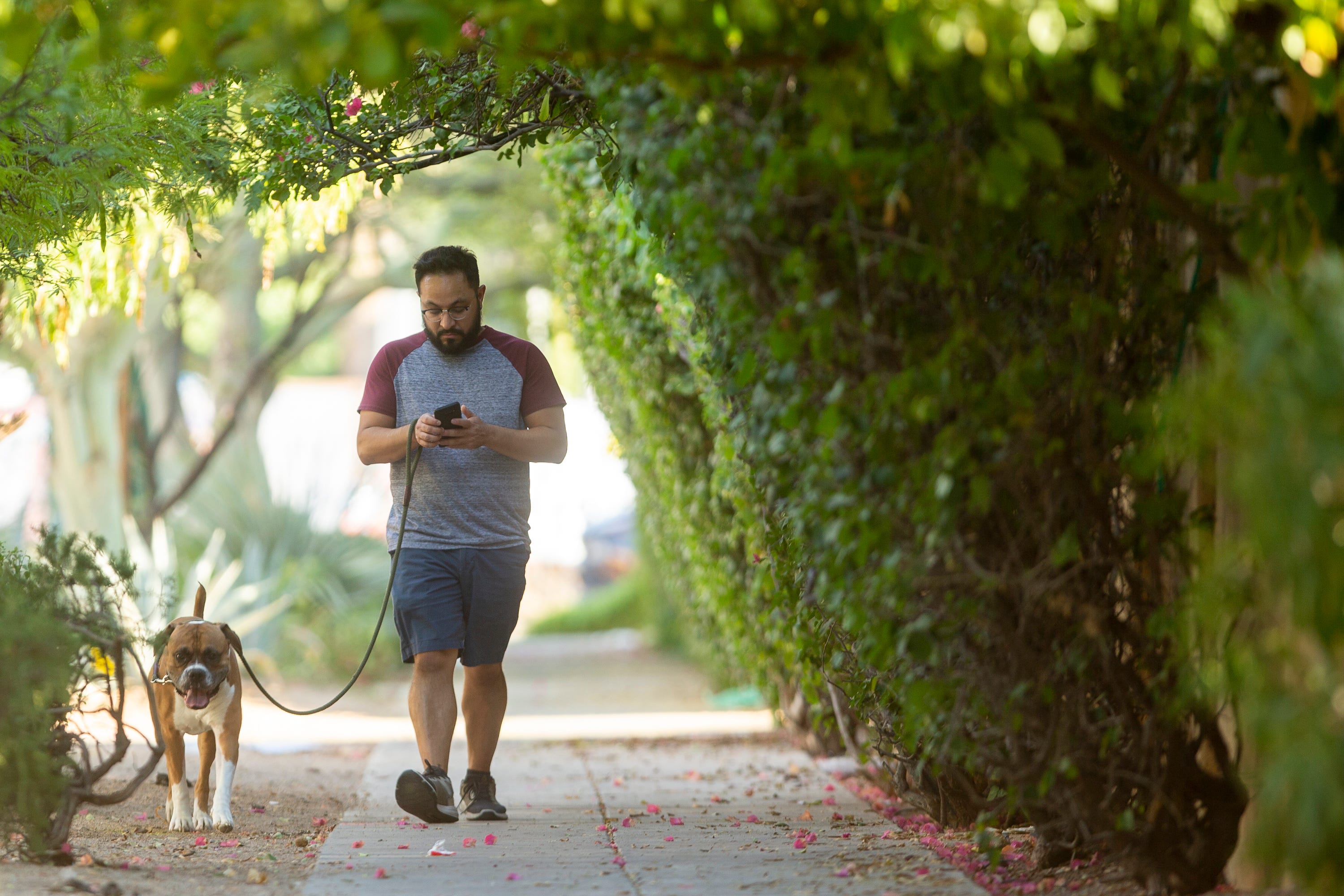 Ramon Rojas and Dutch take a walk down Third Avenue in Phoenix. On many Phoenix streets, shade is scarce.