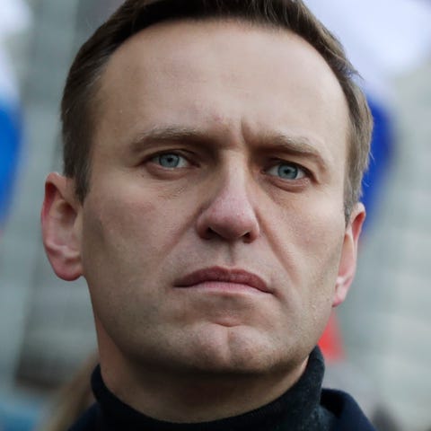 Russian opposition activist Alexei Navalny is pict