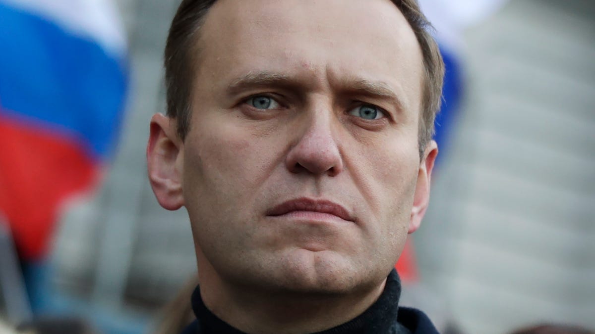 Russian opposition activist Alexei Navalny is pictured taking part in a march in memory of Boris Nemtsov in Moscow, Russia.