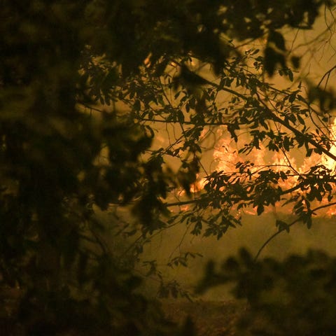 Flames from the CZU Lightning Complex fire forced 