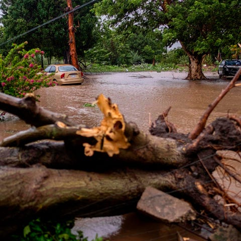 A flooded area and a downed tree caused by Tropica