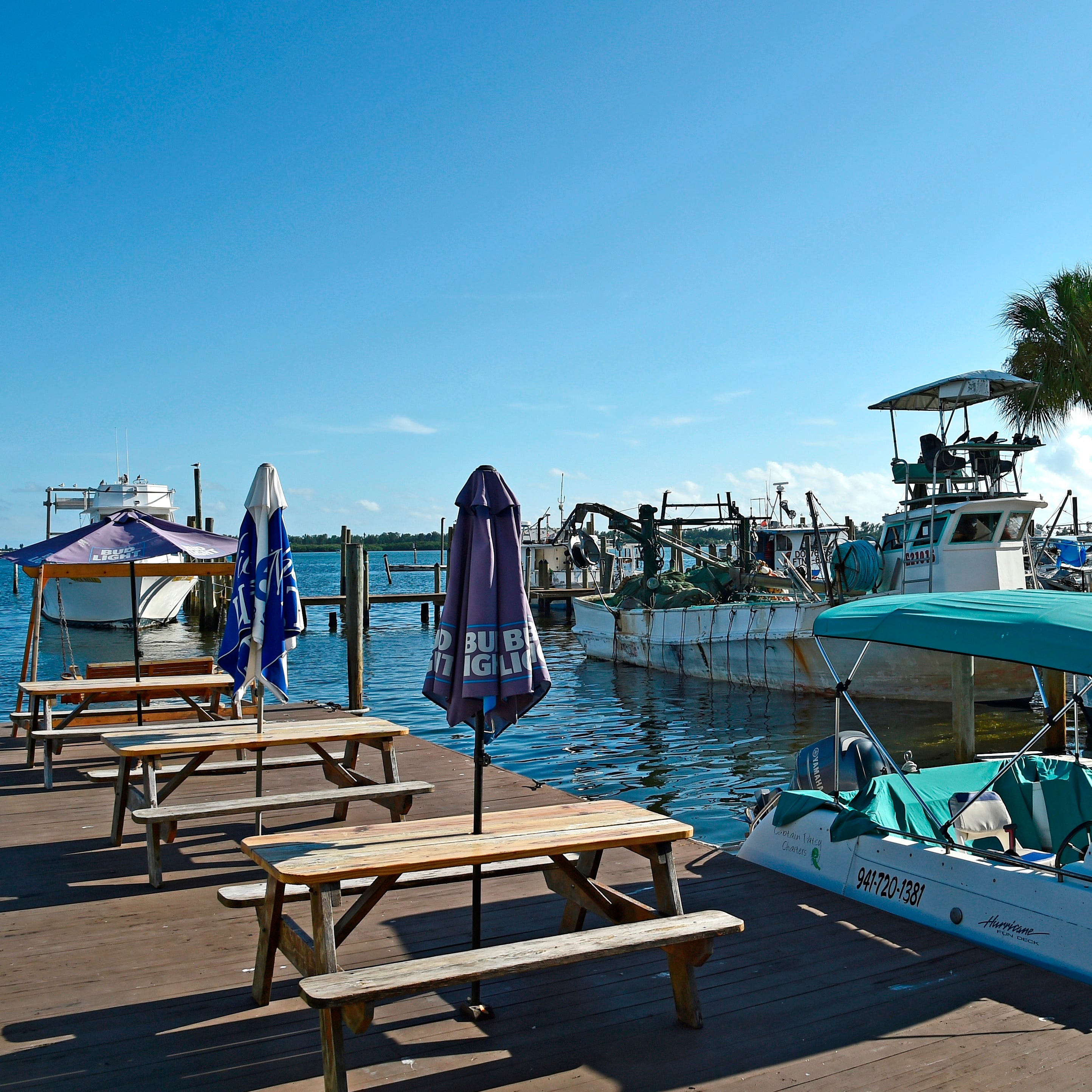 Stone crab season Where and how to eat crab claws in SarasotaManatee