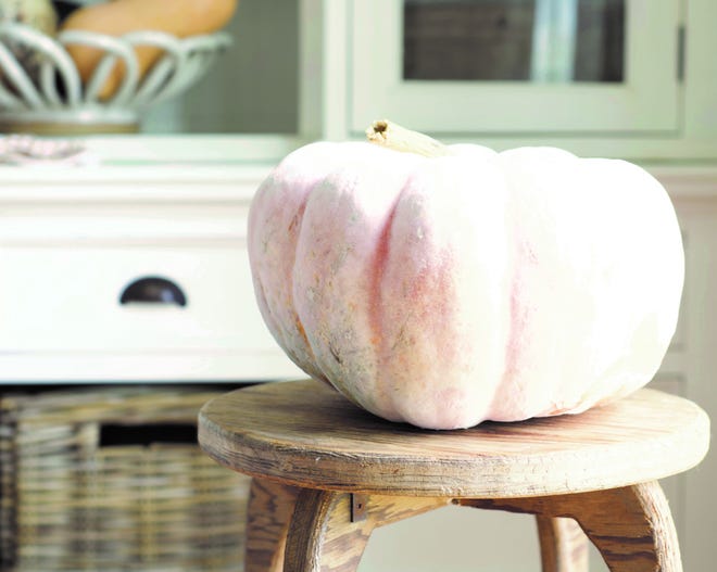 KEEPING IT REAL: When decorating for the season, don't rely on factory-made pretend décor, says Welcome Home author Myquillyn Smith. This fall, instead of a dozen plastic pumpkins, make a statement with one big, quirky real pumpkin.
 PHOTO COURTESY OF MYQUILLYN SMITH