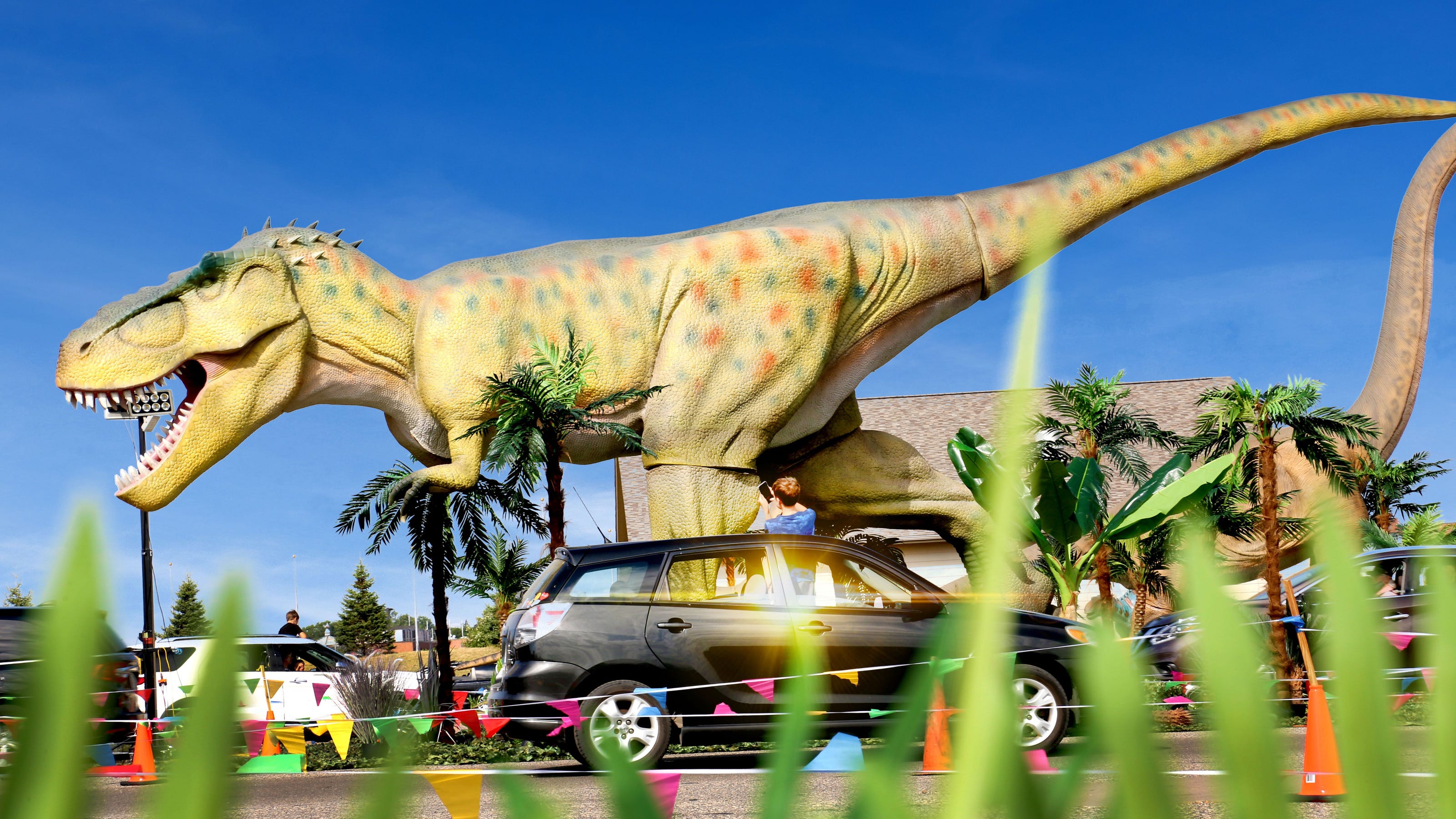 Dinosaur Adventure Drive Thru Bringing Life Size Dinos To Waukesha