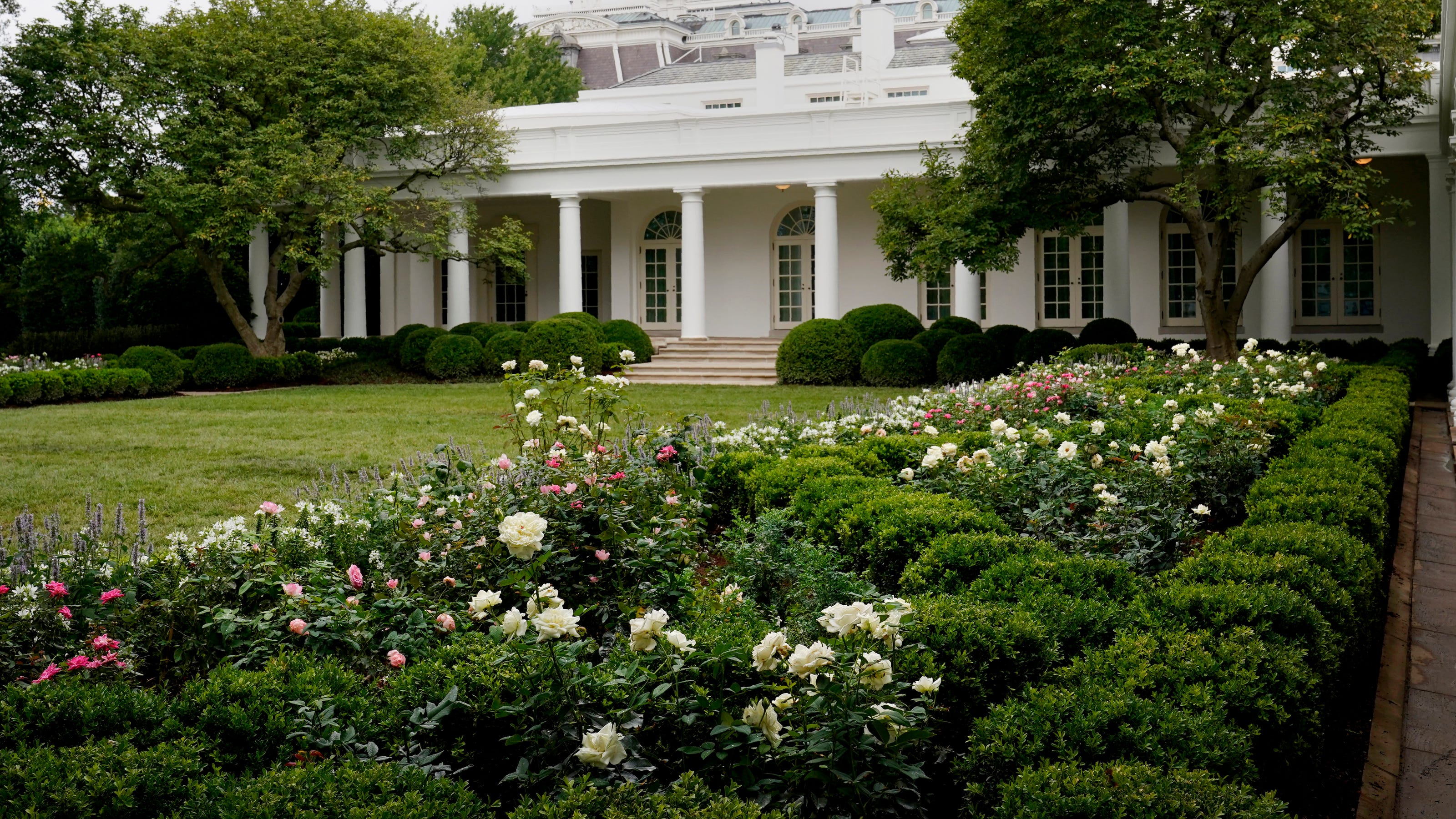 Melania Trump and the Rose Garden: renovations leave it dull and pale
