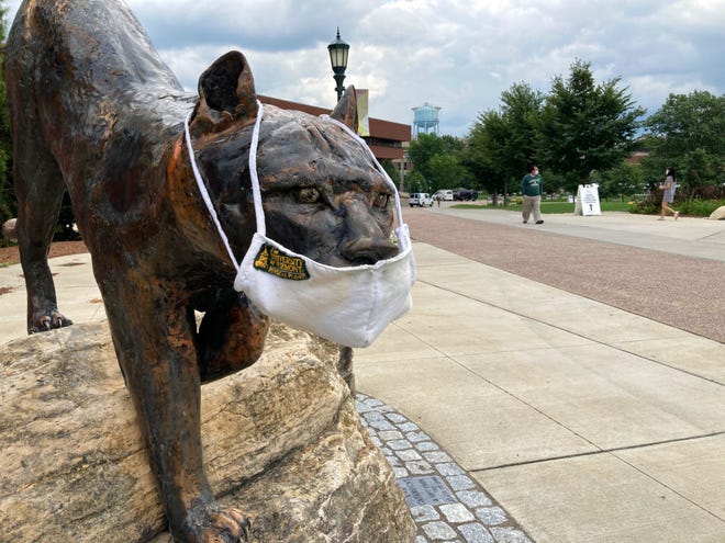 A Katamount statue at the University of Vermont wears a mask on the first day of student move-in Tuesday, August 25, 2020.