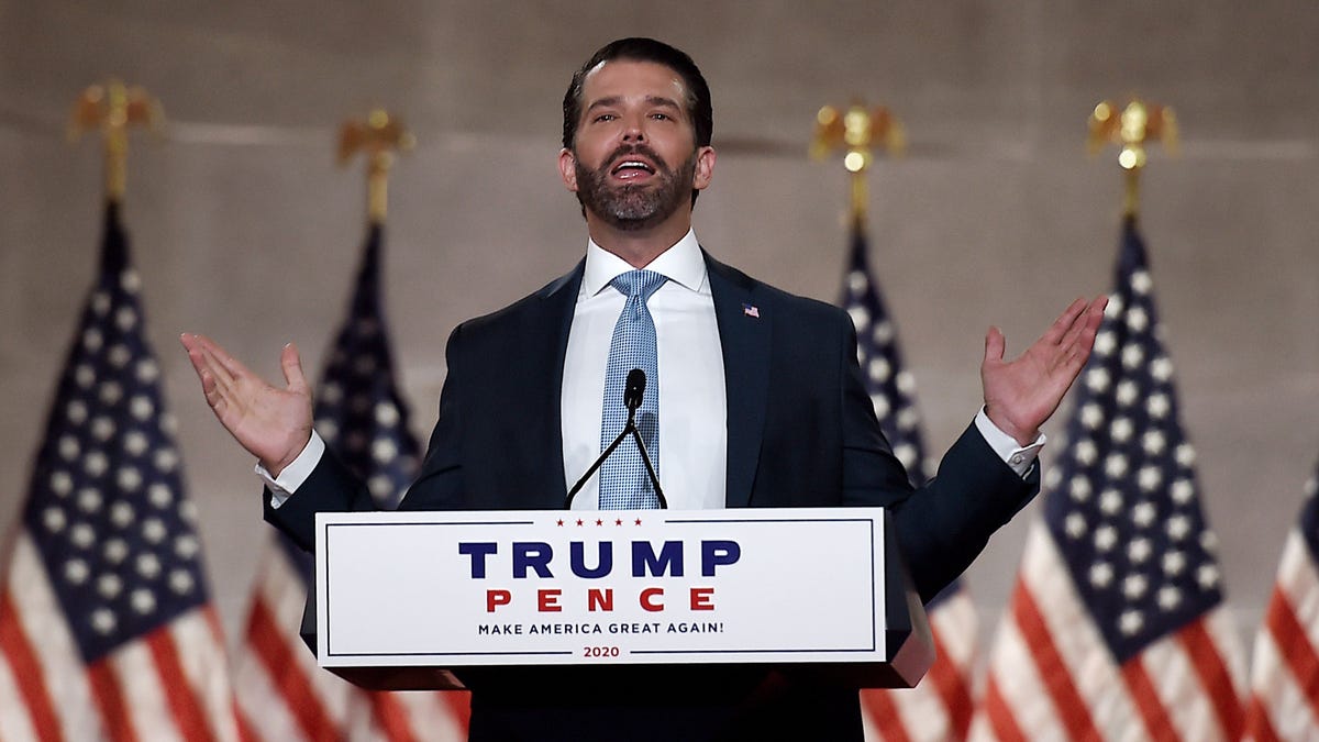 Donald Trump Jr. speaks during the first day of the Republican convention at the Mellon auditorium on August 24, 2020 in Washington, DC. (Photo by Olivier DOULIERY / AFP) (Photo by OLIVIER DOULIERY/AFP via Getty Images) ORG XMIT: Republica ORIG FILE ID: AFP_1WQ2NU