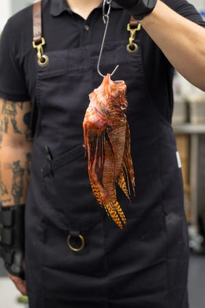 Lionfish, an invasive fish considered to be a delicacy, is on the menu at Lionfish Delray. [Photo by Mas Appetit]