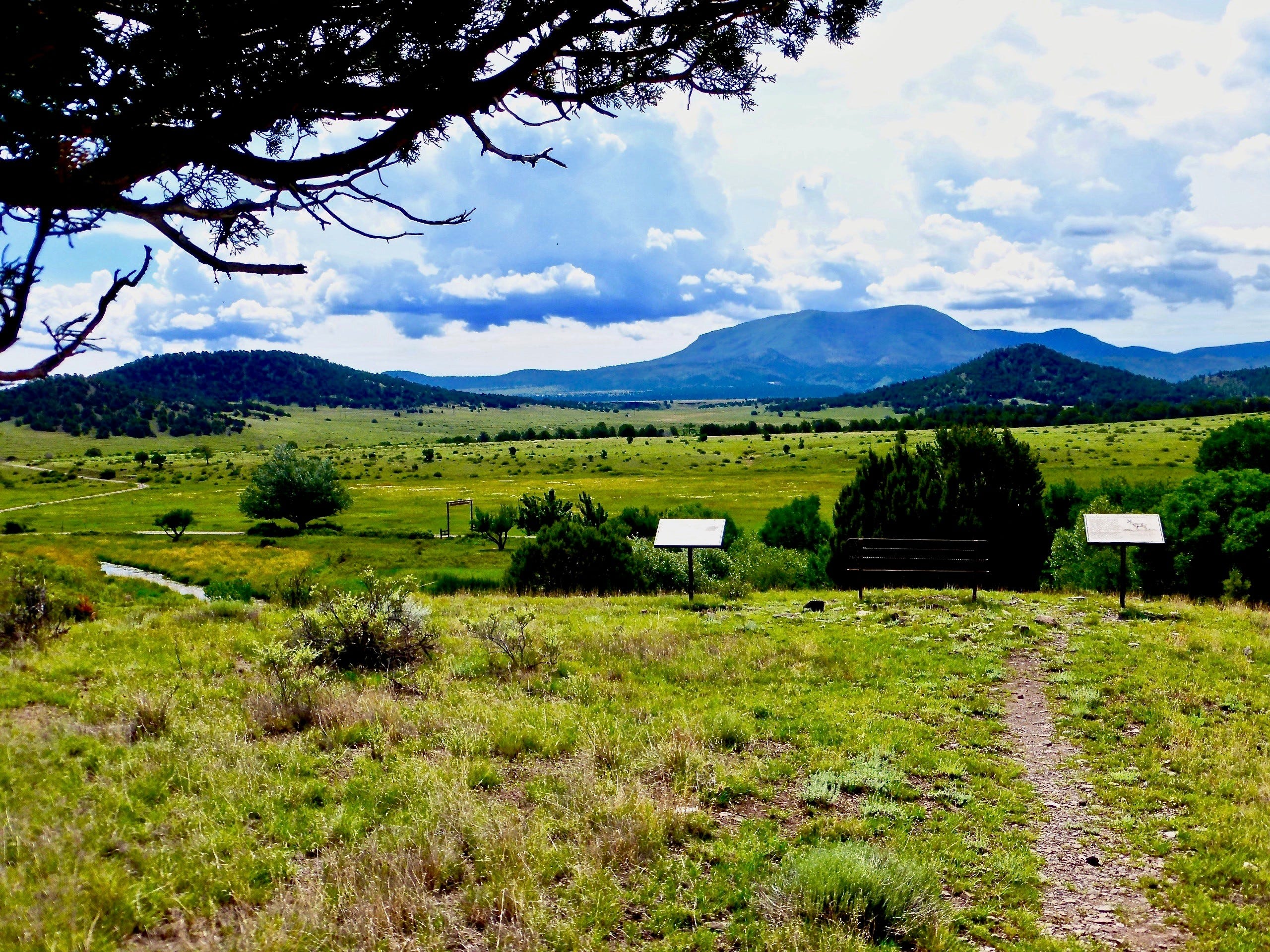 Alpine, Arizona Restaurants, cabin rentals, things to do