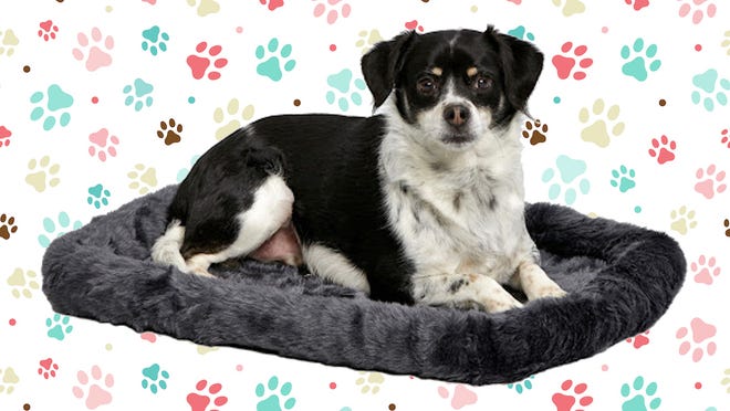 As if you needed another excuse to pamper your pooch, this plush, fleece bed can be used in your pup’s crate or on its own—and it’s $25 off.