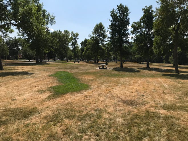 City parks including Gibson are showing signs of prolonged heat and lack of water. Cooler temperatures and precipitation could bring relief this weekend.