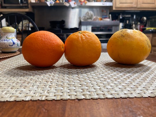 Oranges photographed on iPhone SE