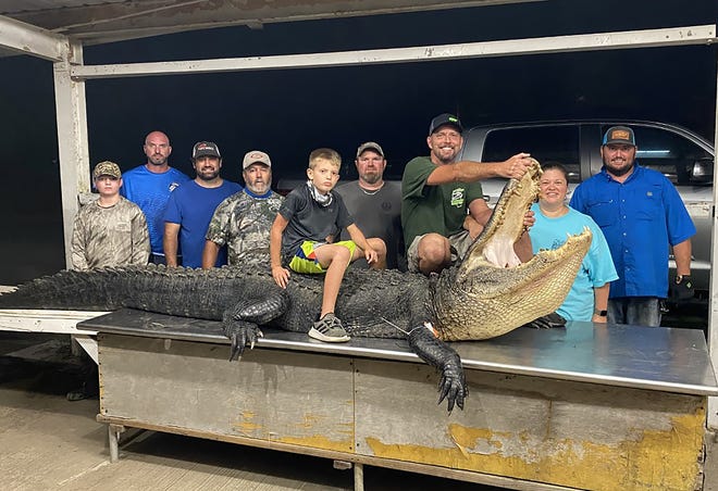 After a two-hour fight, Hunter Fielder, from left, Michael Fielder, Josh Grubbs, Ricky Martin, Jake Harris, Clint Hill, Ashley Harris, Raye Harris, and Casey Martin show off the 13-foot, 8-inch alligator they caught on Ross Barnett Reservoir.