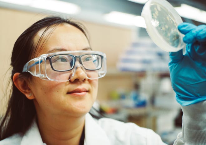 As a member of an interdisciplinary team testing wastewater samples for SARS-CoV-2, Civil Engineering Assistant Professor Yanyan Zhang is responsible for developing the pretreatment method to concentrate the SARS-CoV-2 in wastewater.