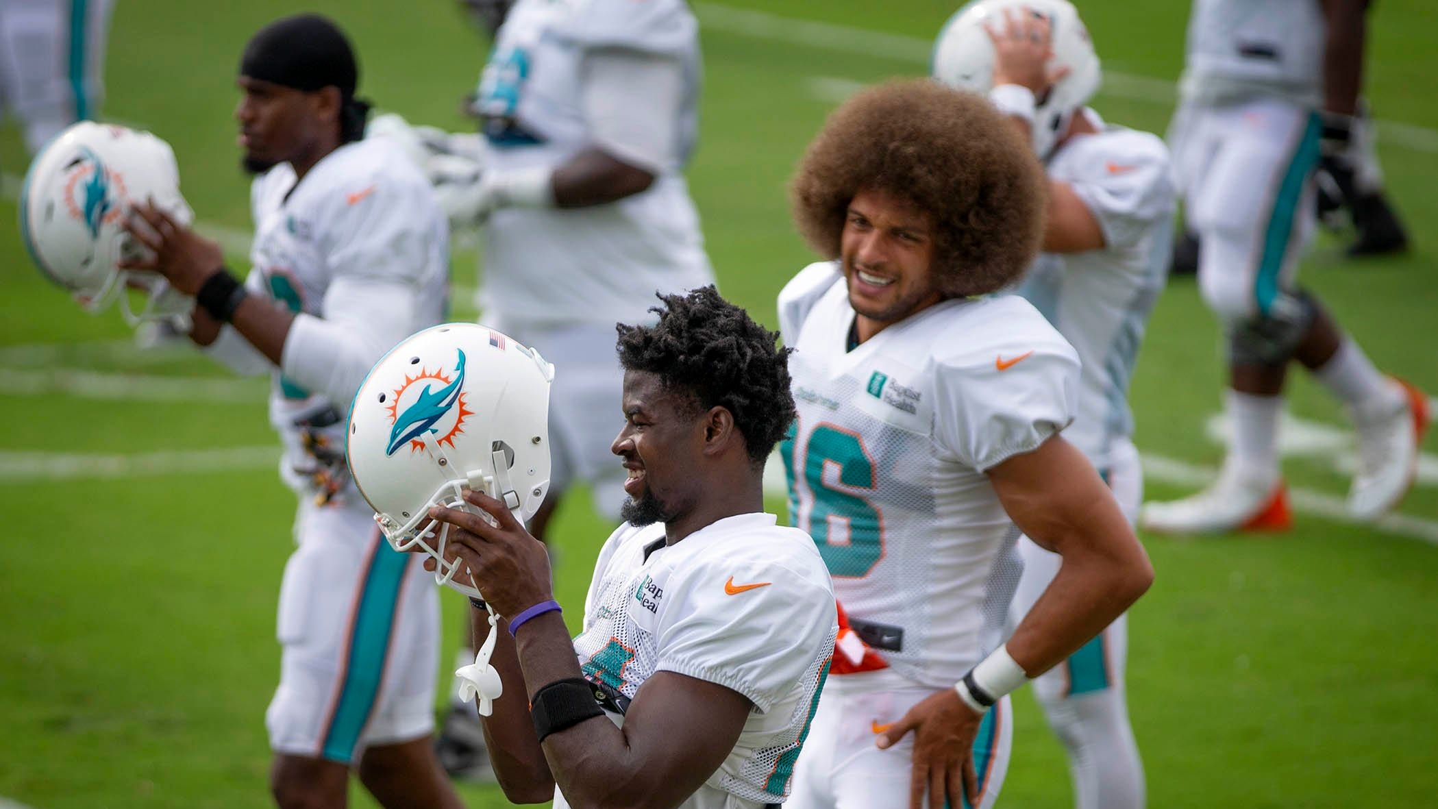 Miami Dolphins' WR Mack Hollins: amazing hair, a hidden talent and he can play