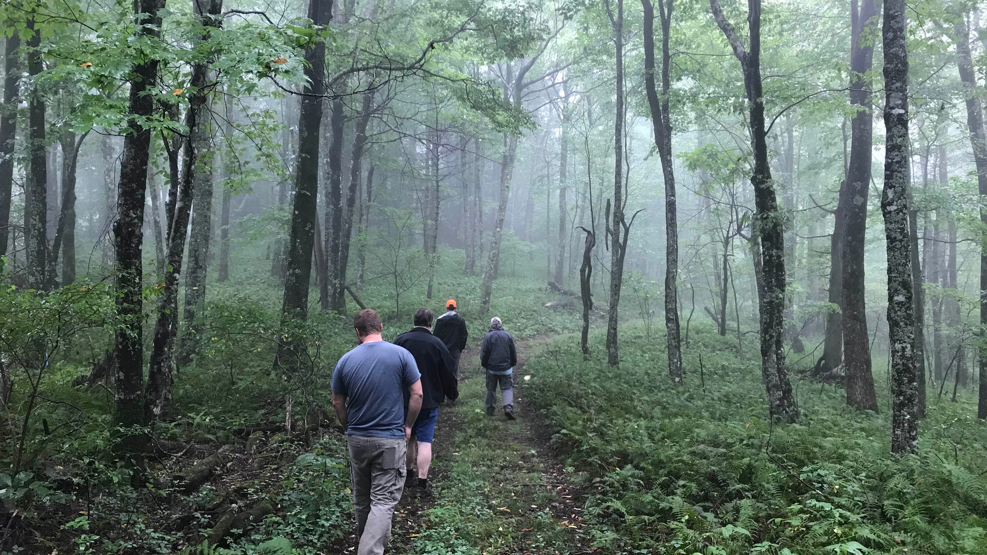 Nantahala National Forest to grow with land conserved by Asheville land trust - Citizen Times