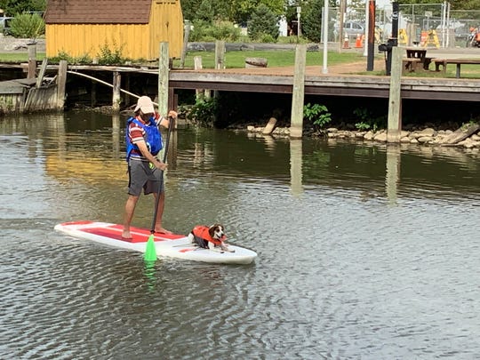 Elvis the beagle goes paddleboarding with his owner Rob, of New York City. Lincoln Morse said, "It's not owners who bring their dogs, but dogs who bring their owners."