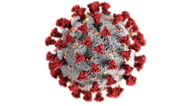 Coronavirus depicted in this CDC image.