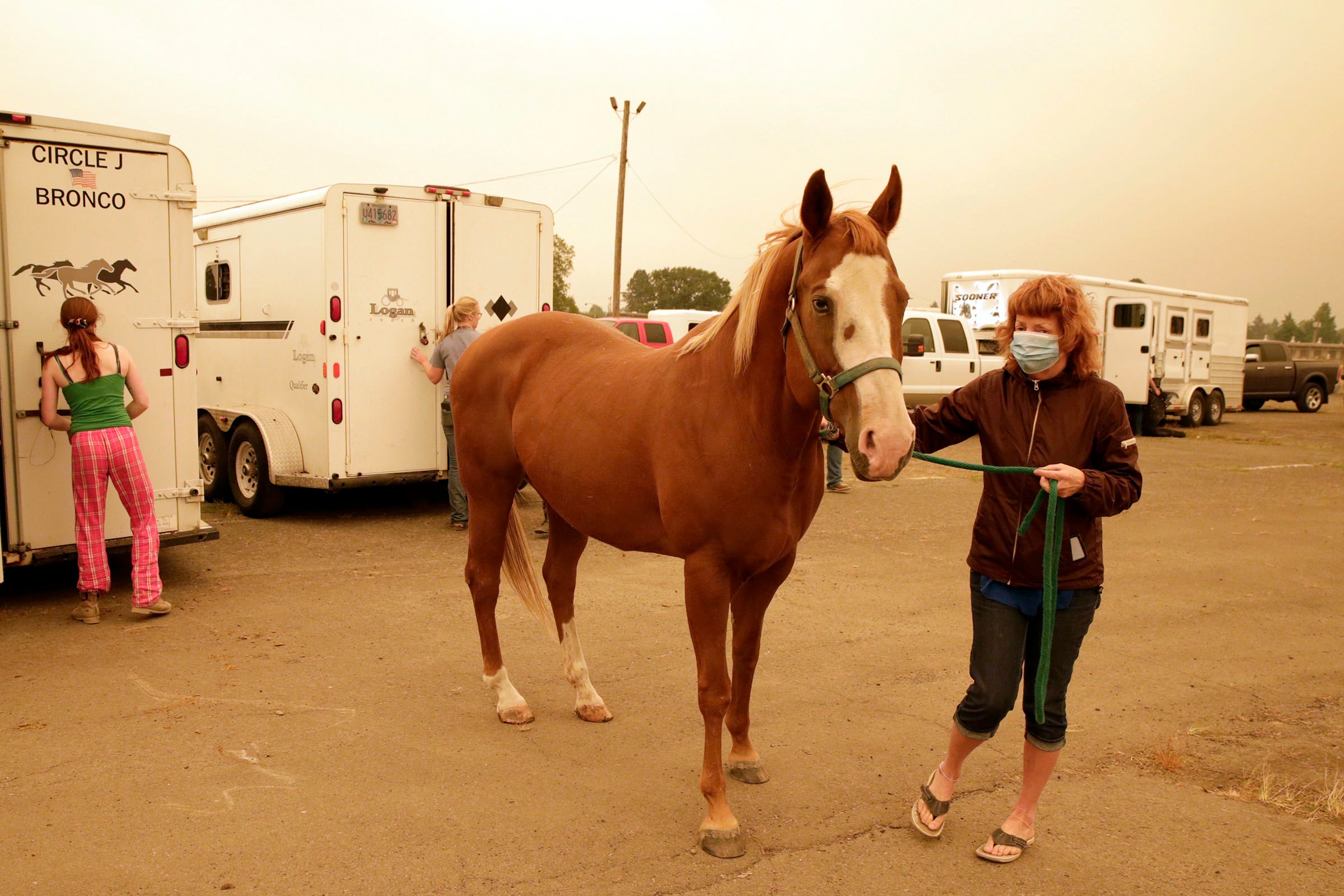 Oregon wildfires Volunteers coordinate to evacuate dozens of horses