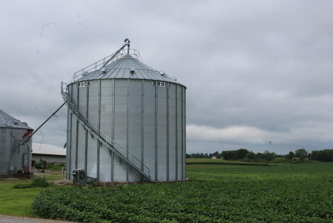 The key to preventing grain insect problems in grain bins is deep cleaning empty grain bins and trucks hauling new grains.