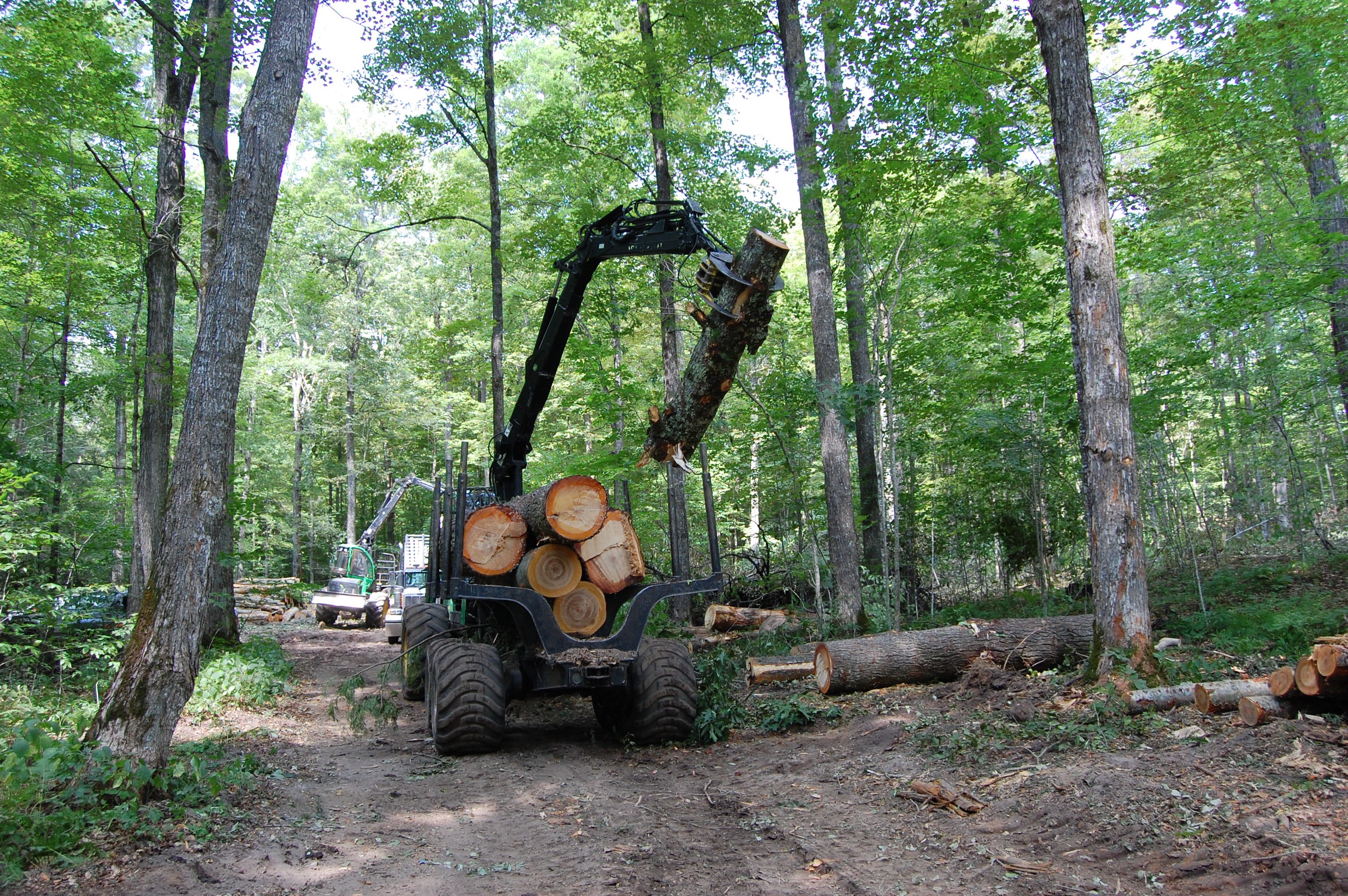 Menominee Tribal Enterprises employs careful precision to sustainably harvest the Menominee Forest.