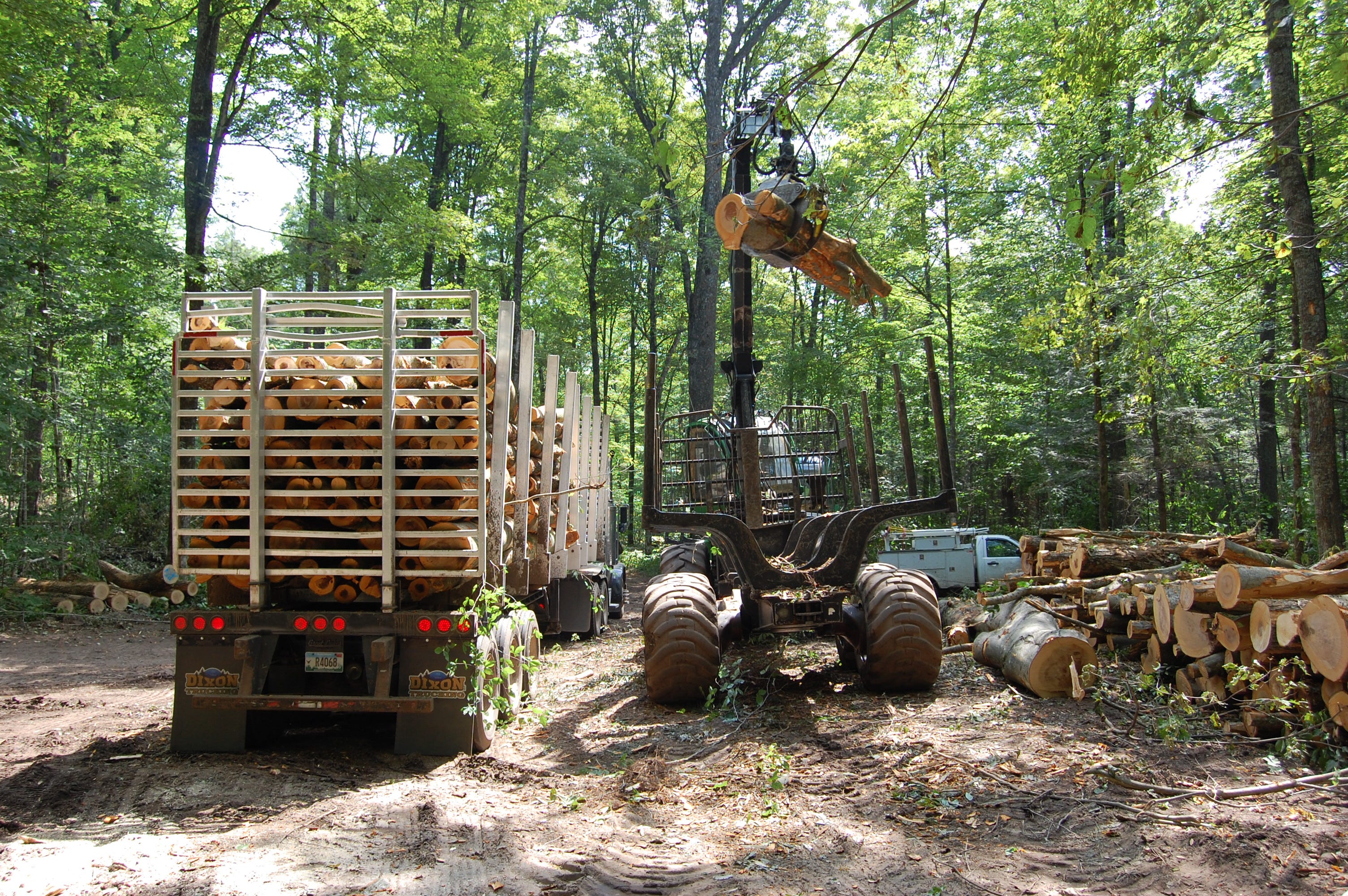 Menominee Tribal Enterprises employs careful precision to sustainably harvest the Menominee Forest.