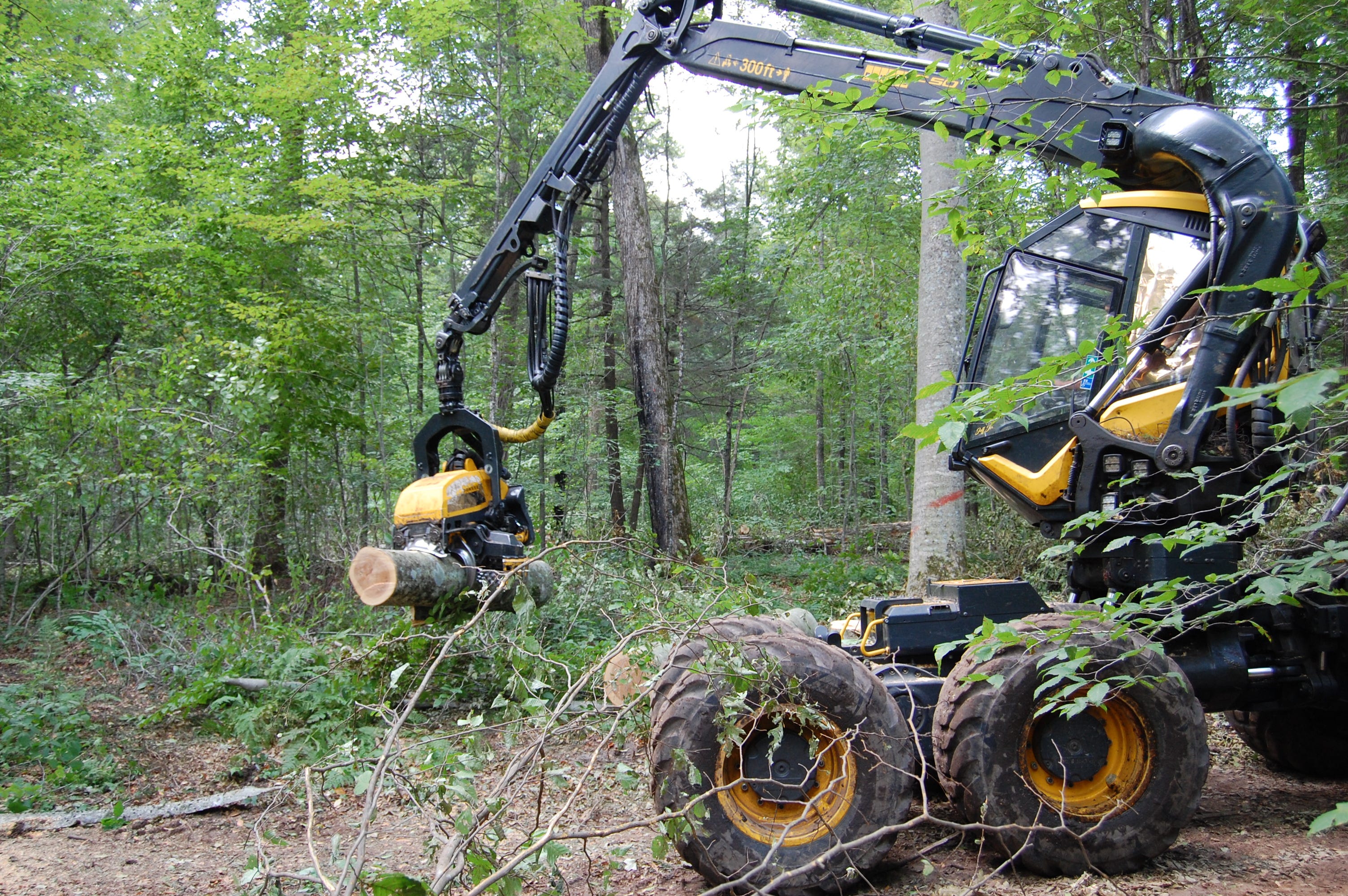 Menominee Tribal Enterprises employs careful precision to sustainably harvest the Menominee Forest.