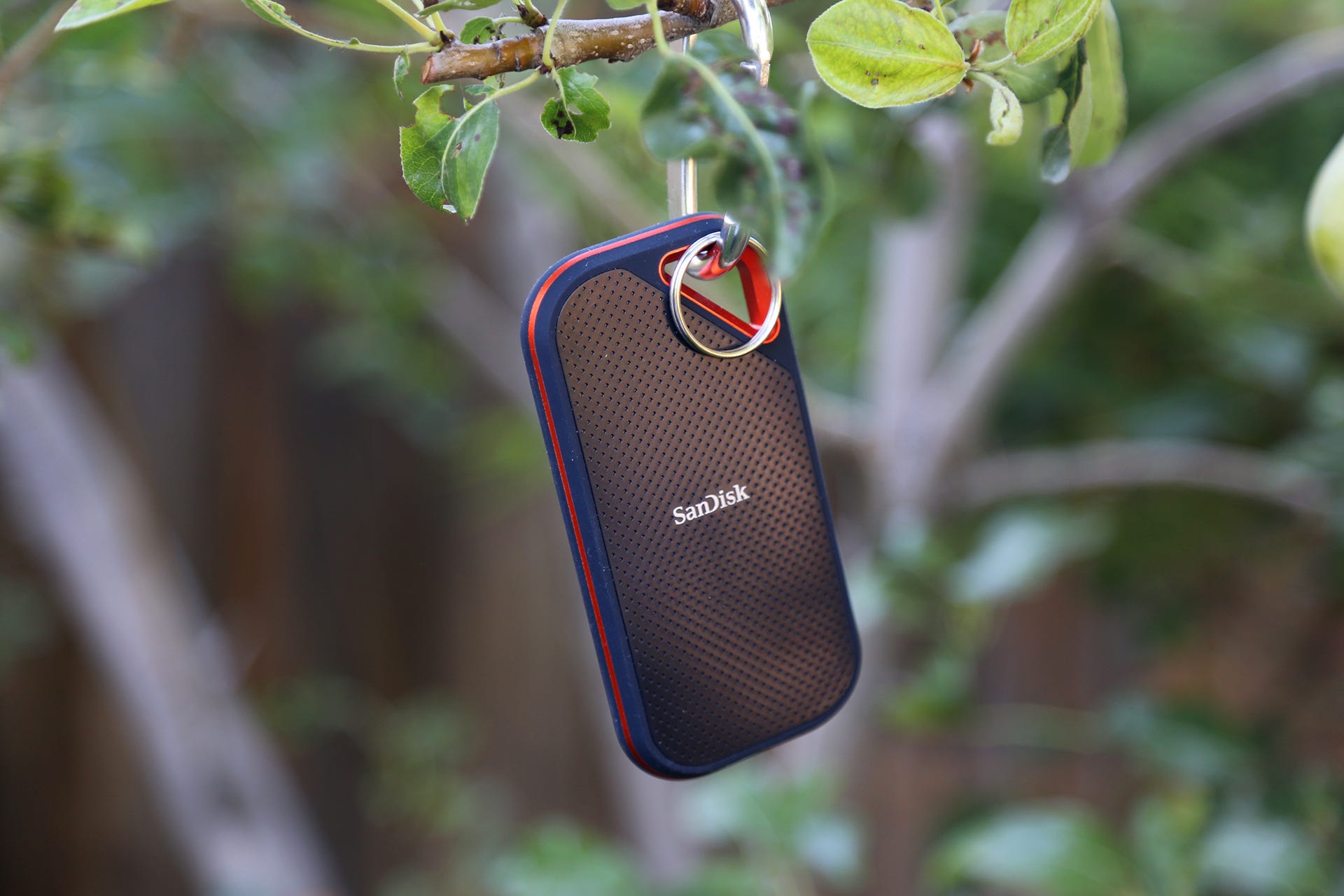 sandisk extreme portable pro