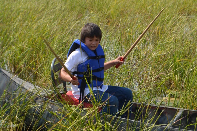 A ricer with the Sokaogon manoomin youth camp harvests wild rice on the reservation.